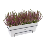 loft urban balkonkasten allin1 50cm weiss